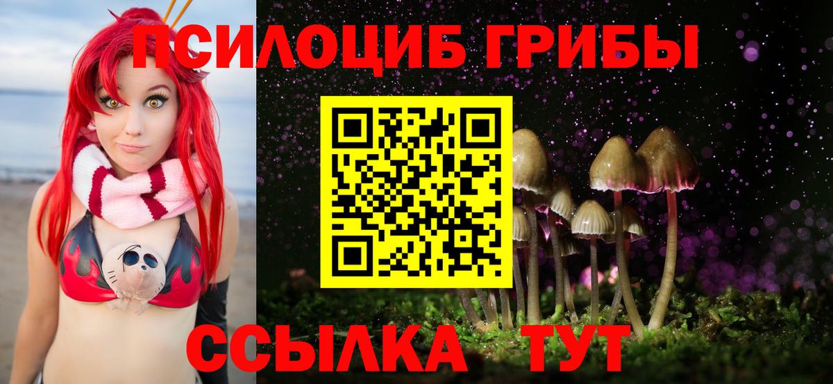 Комсомольск-на-Амуре  Галлюциногенные грибы прущие грибы  Вход с VPN 